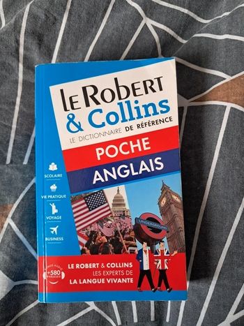 Dictionnaire anglais français 