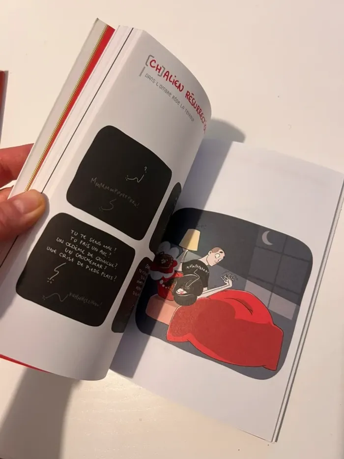 Livre Chat Bouboule - photo numéro 4