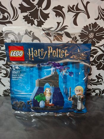 Lego harry potter  30677 drago malfoy dans la forêt interdite