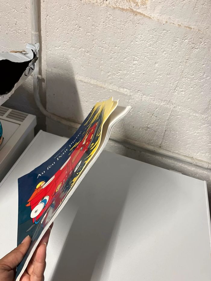 Livre au feu - photo numéro 2