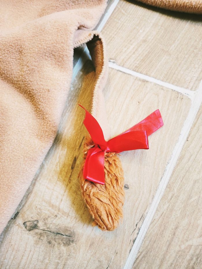 🦁 Déguisement/costume combinaison de Lion pour bébé 24mois - photo numéro 4