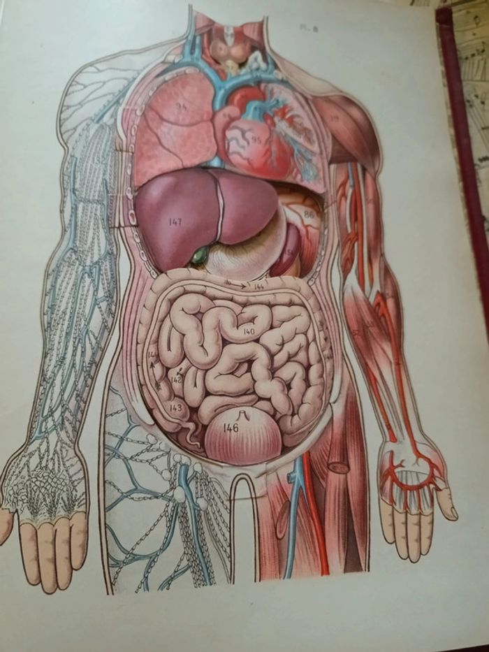 Larousse médical illustré 1921 - photo numéro 4