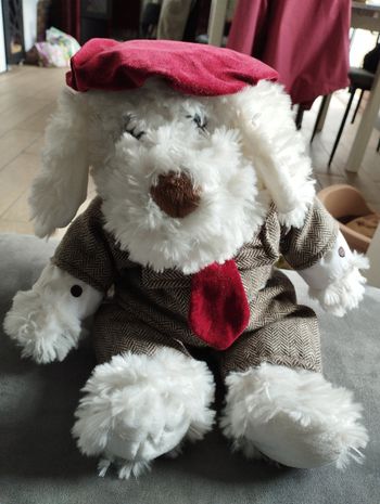 Peluche ours collection
