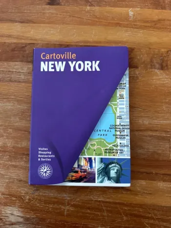 Livre New York cartoville