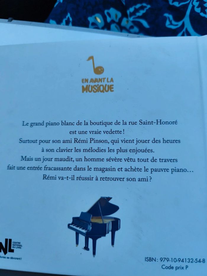 Il faut sauver le piano blanc - photo numéro 2