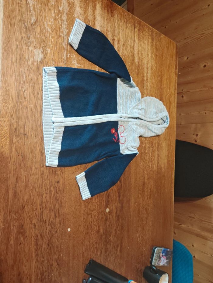 Gilet Mickey Disney taille 23 mois