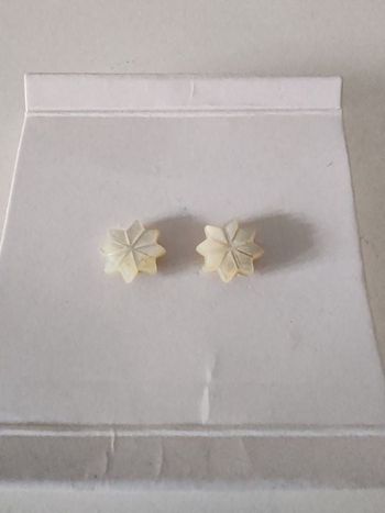 Boucles Oreilles Nacre/Etoile