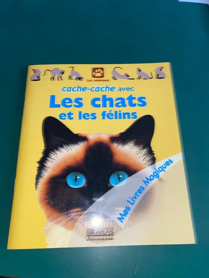 Livre enfant : Les chats