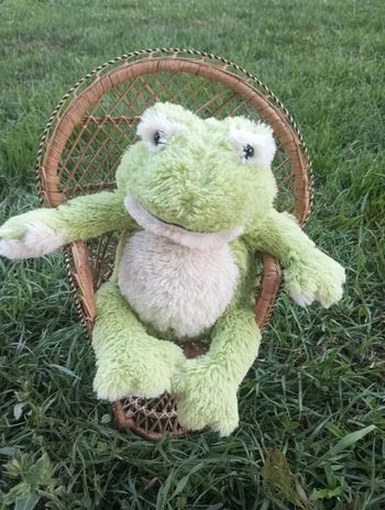Bouillotte Grenouille neuve