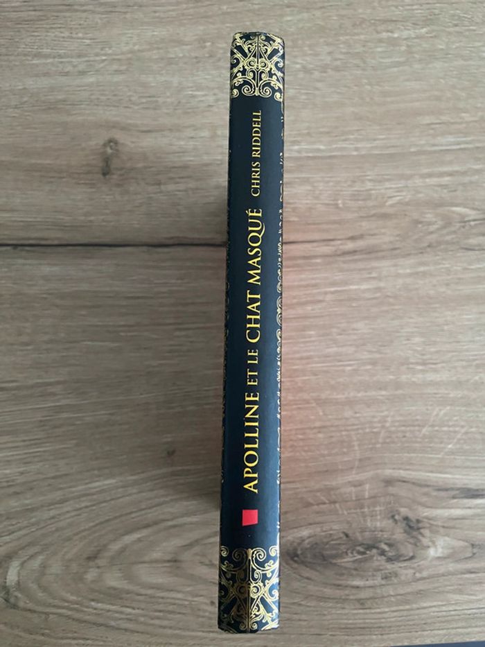 Livre Apolline et le chat masqué tome 1 - photo numéro 2