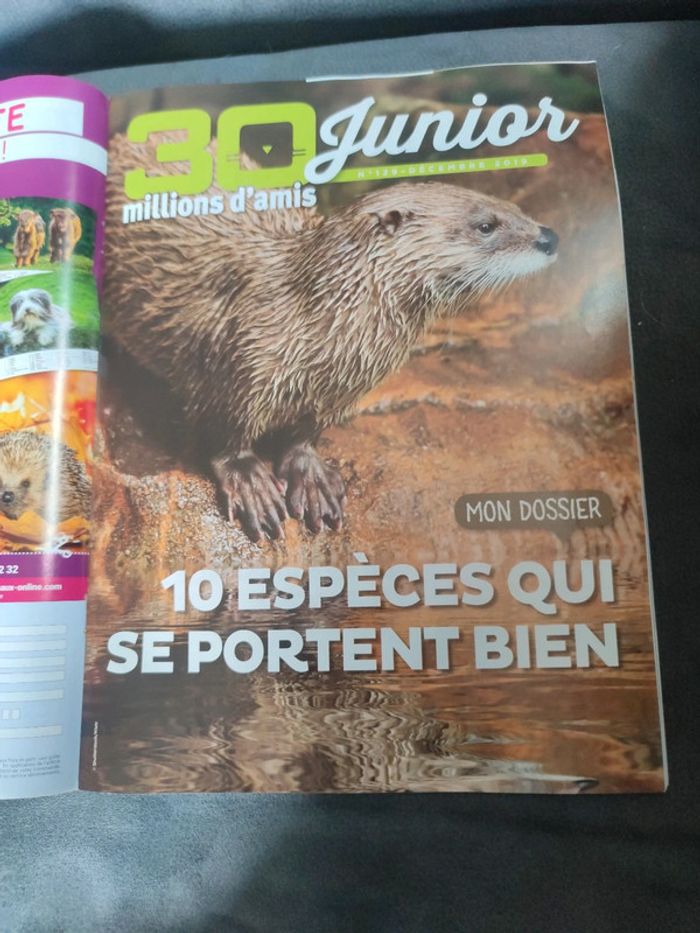 Magazine 30 millions d'amis numéro 379 décembre 2019 - photo numéro 6