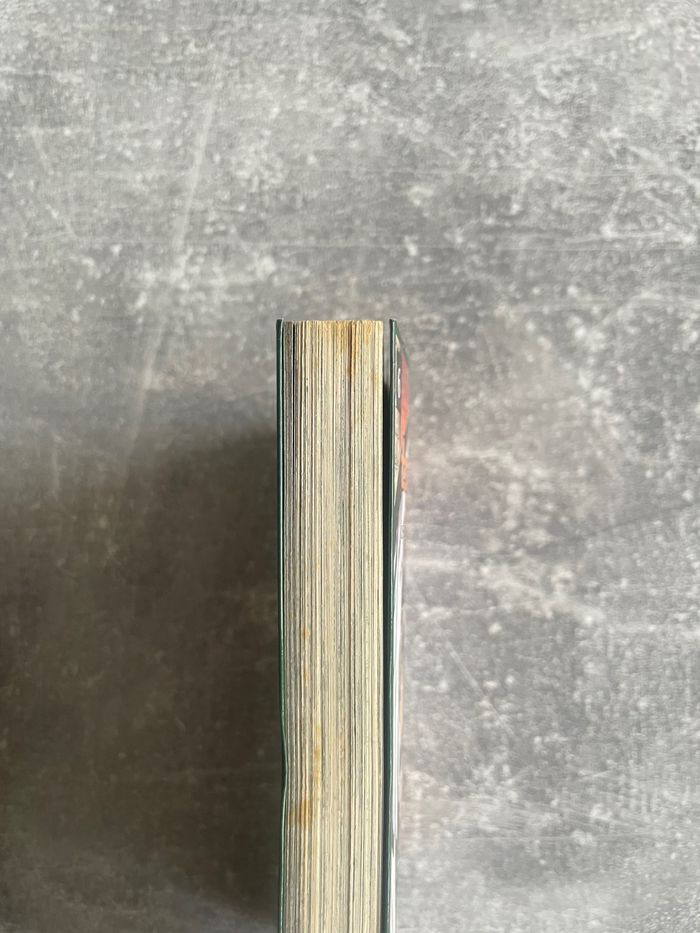 Manga Tsubasa reserve chronicle, tome 6 en version française. - photo numéro 2