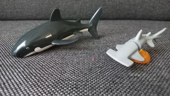 Figurines requins
