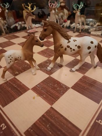 Schleich jument et poulain