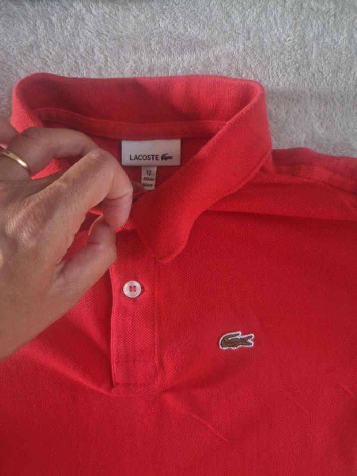 Lot 5 polos garçon 12ans Lacoste - photo numéro 6