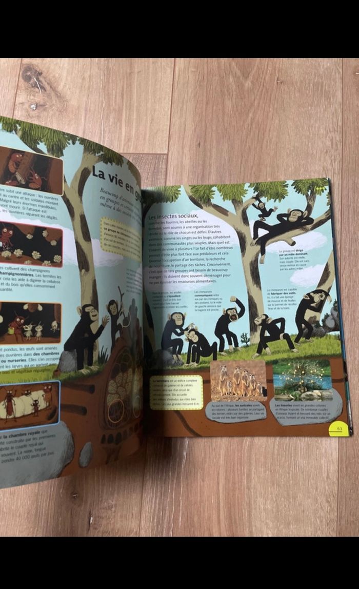 Livre pour enfants - photo numéro 3