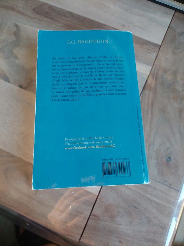 Imagination Le dernier envol, de S.G. Baud'Huin - photo numéro 2