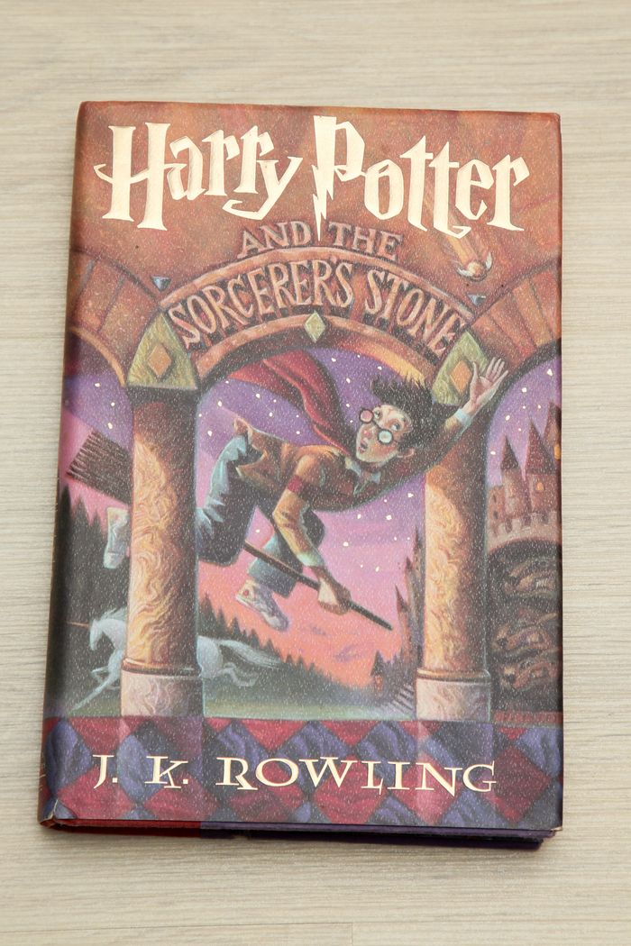 Harry Potter and the sorcerer's stone - photo numéro 1
