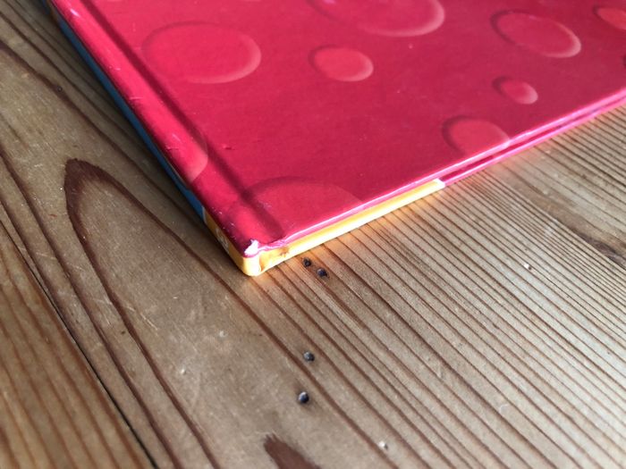 Livre La maison de l’hiver L’hiver - photo numéro 7