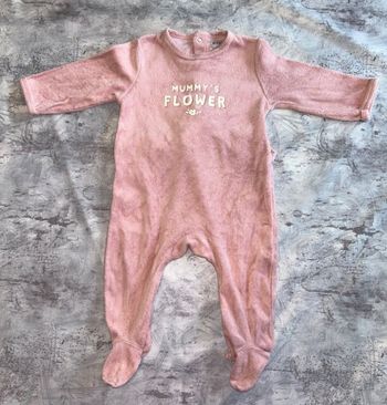 Pyjama rose