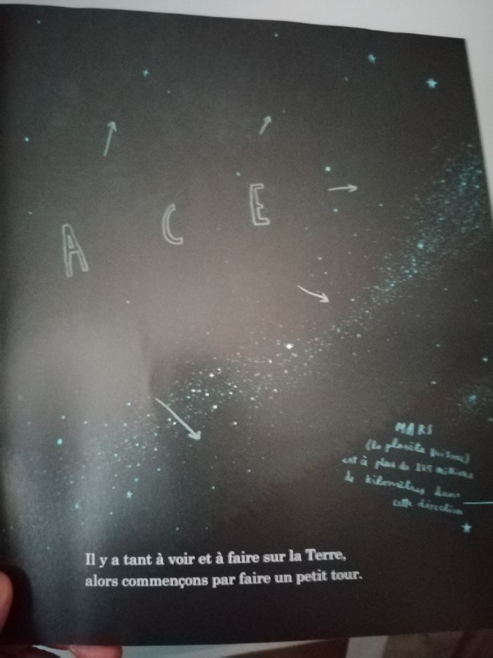 Livre : Nous sommes là " Notes concernant la vie sur la Planète Terre " - photo numéro 8