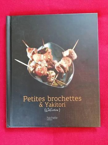 Livre Petites brochettes & Yakitori
