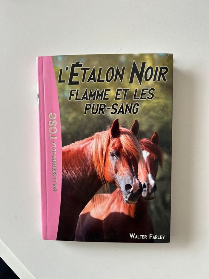 Livre l’étalon noir