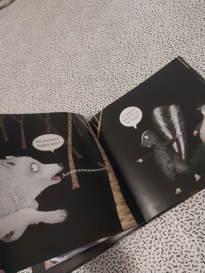 Album jeunesse “La nuit des animaux de nuit” – Gianna Marino – Éditions Casterman - photo numéro 4