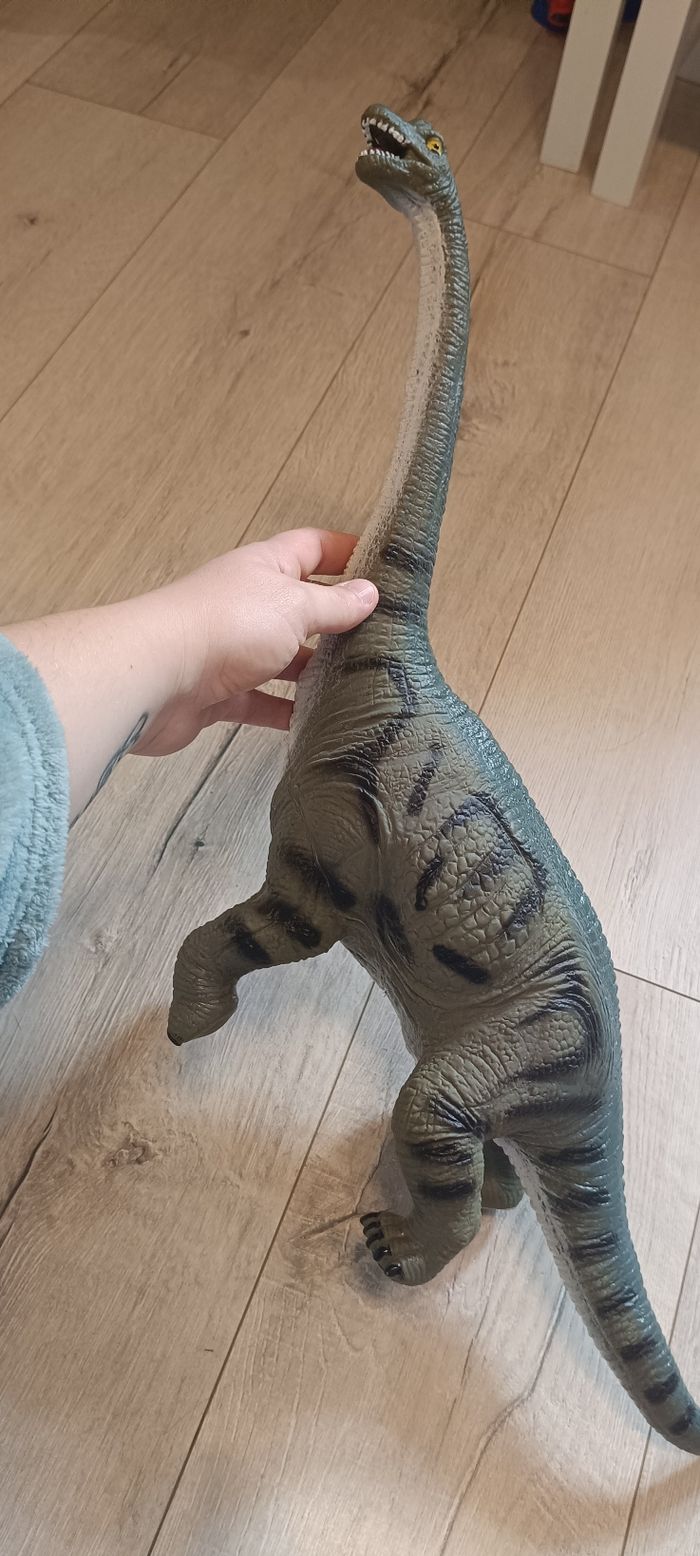 Dinosaure - photo numéro 2