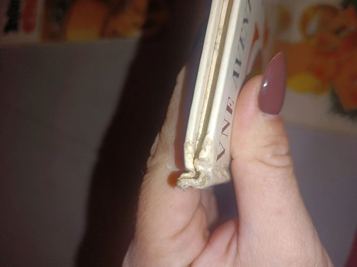 Bd Astérix - photo numéro 3