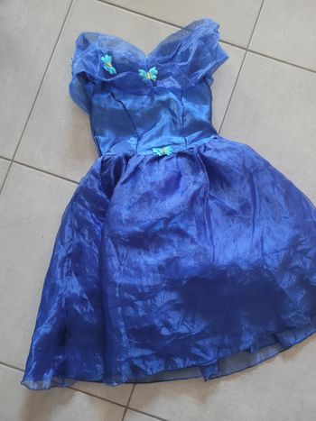 Robe cinderella