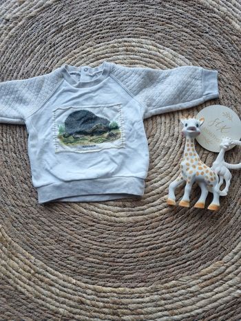 Sweats petit bateau