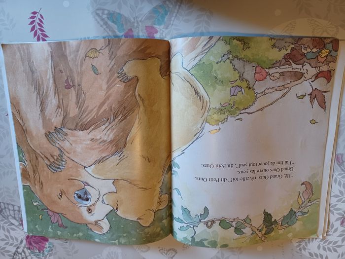Livre pour enfant - photo numéro 3