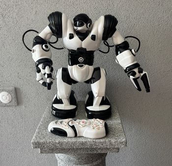 Robot Interactif