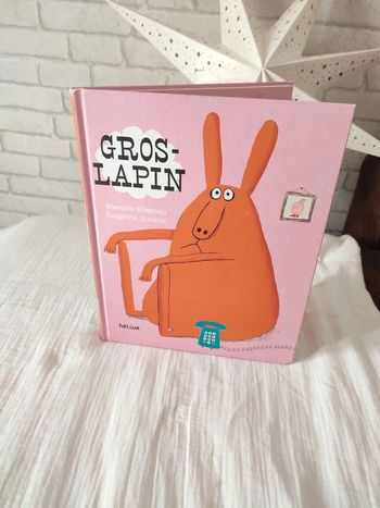 Livre enfant gros lapin