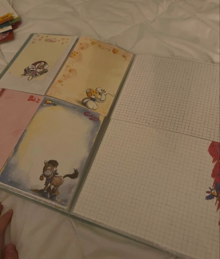 Porte-vue 100 feuilles Diddl 🐭💚 - photo numéro 7