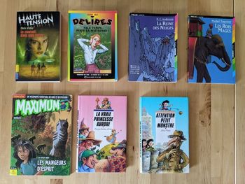 Lot livres jeunesse à partir de 10 ans