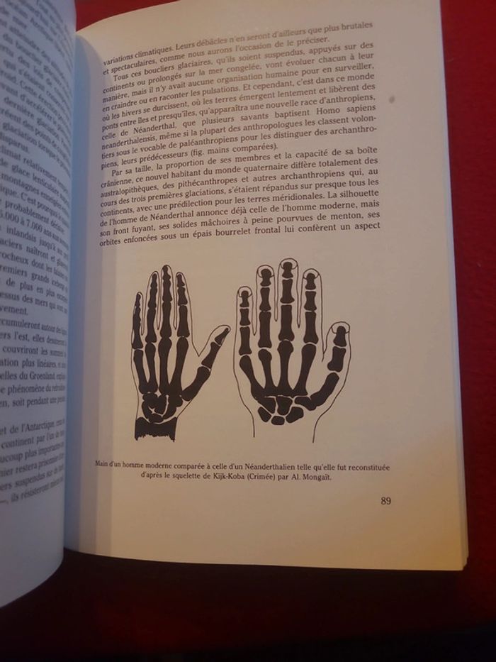 L'homme et les déluges - photo numéro 7