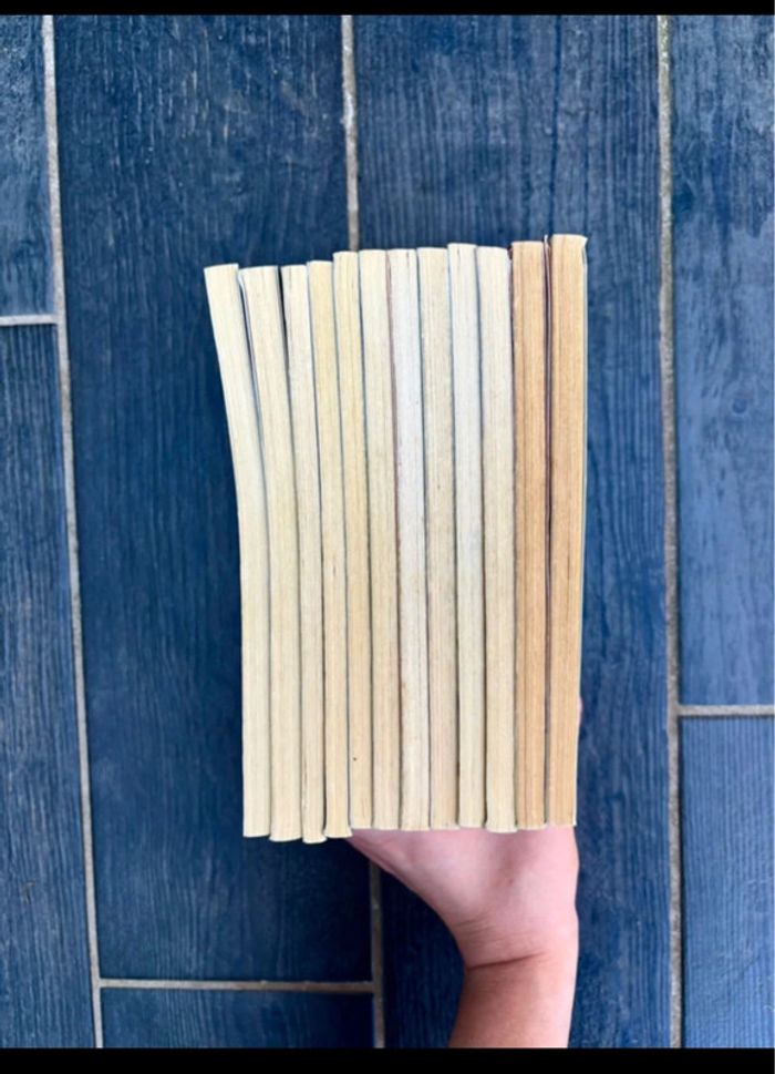 Lot 12 Livres Sheltie pour Enfants / Possibilité de prendre à l'unité - photo numéro 4