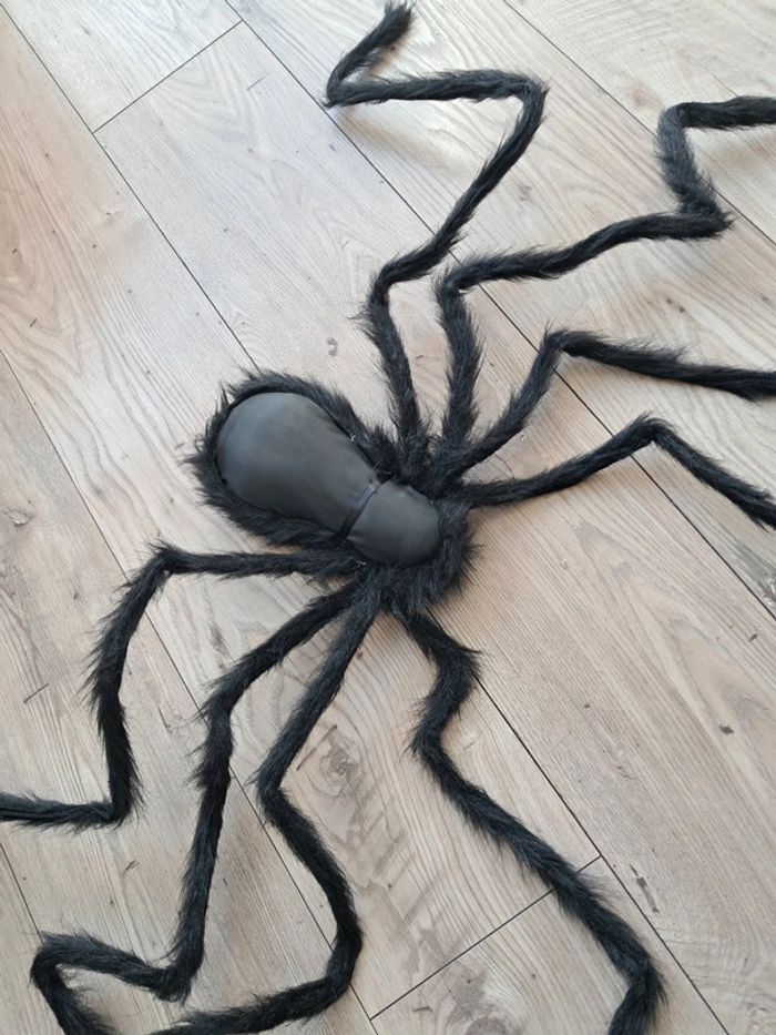 Énorme araignée de 1 mètre. Décor halloween - photo numéro 6