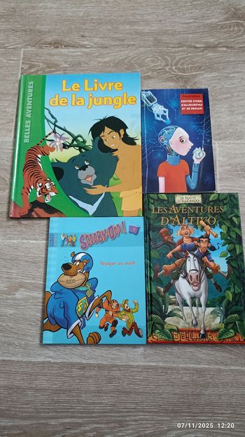 Lot 4 livres divers