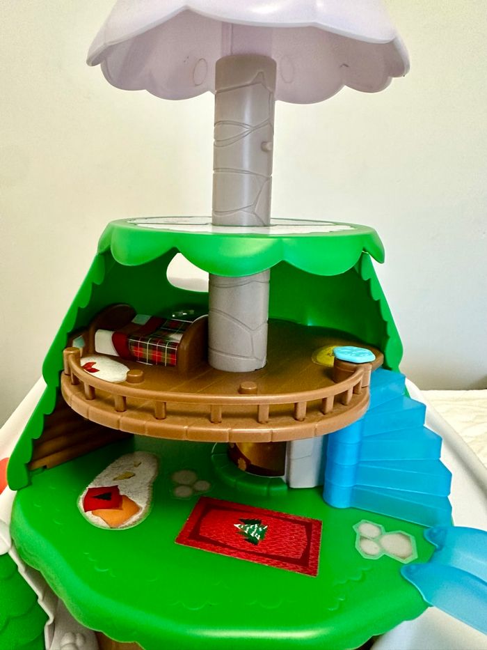 Sapin klorofil - photo numéro 4