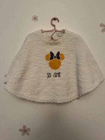 Poncho Minnie
