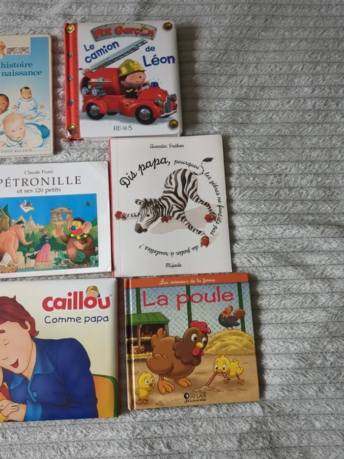 Lot de 9 livres pour jeunes enfants de maternelle - photo numéro 4