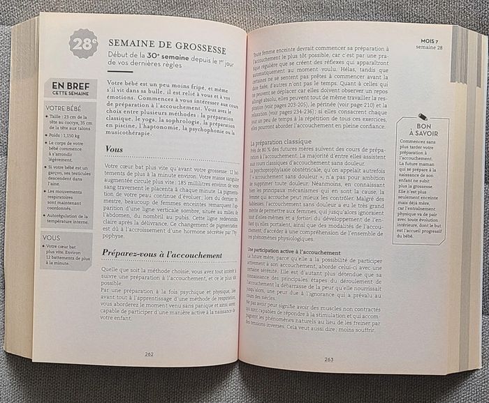Le livre de bord de la future maman - photo numéro 3