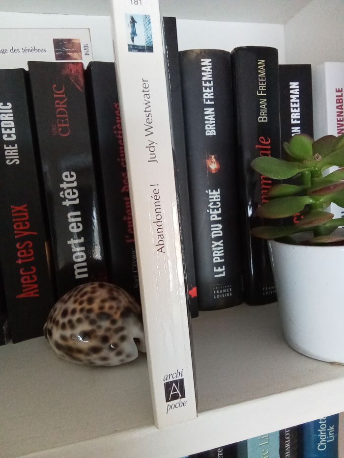 Abandonnée de Judy Westwater - photo numéro 3