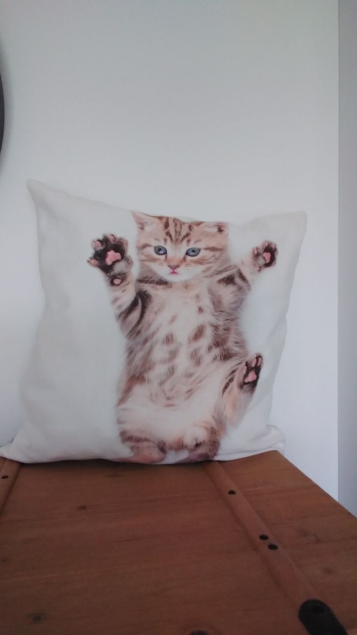 Coussin - photo numéro 2