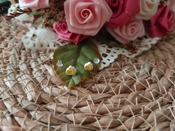 🌿Paire de boucle d'oreille empreinte animaux🌿