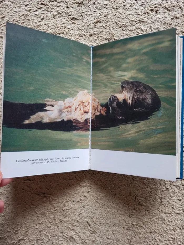 Livre "La vie extraordinaire du commandant Cousteau" - 1979 - photo numéro 10