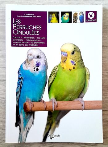 les perruches ondulées